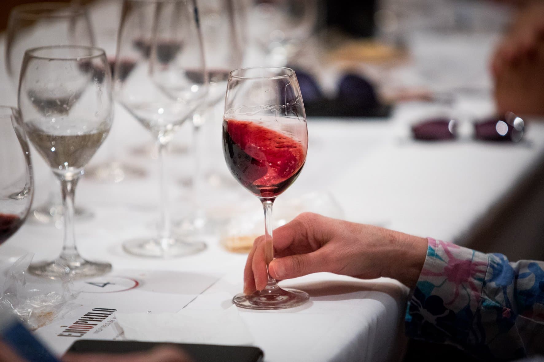 🥂 Novidades no Enóphilo Wine Fest Coimbra