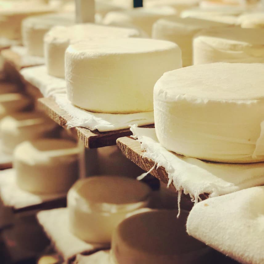 🧀+🍷 Queijaria do Armindo: o Queijo Oficial do Enóphilo Wine Fest